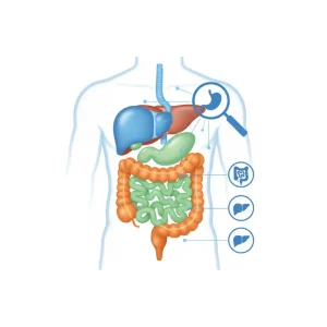 Gastroenterology