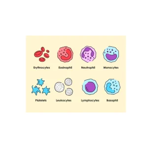 Hematology
