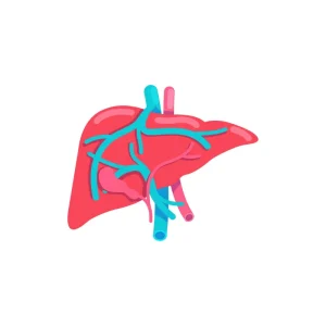 Liver Cancer