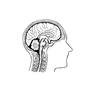 Neurological Disorders